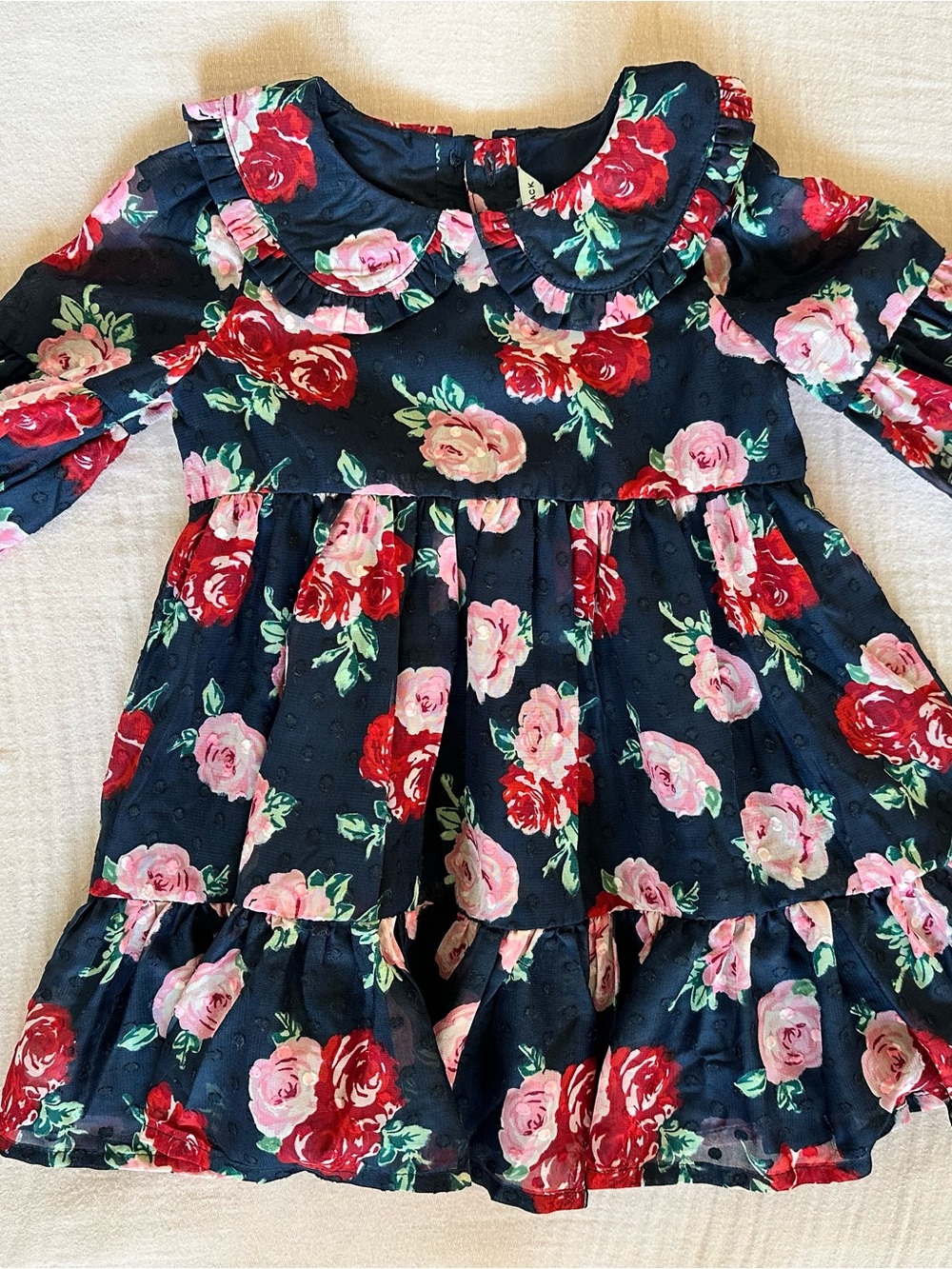 Janie and Jack Navy Floral Ruffle Collar Dress - Pink & Red Roses